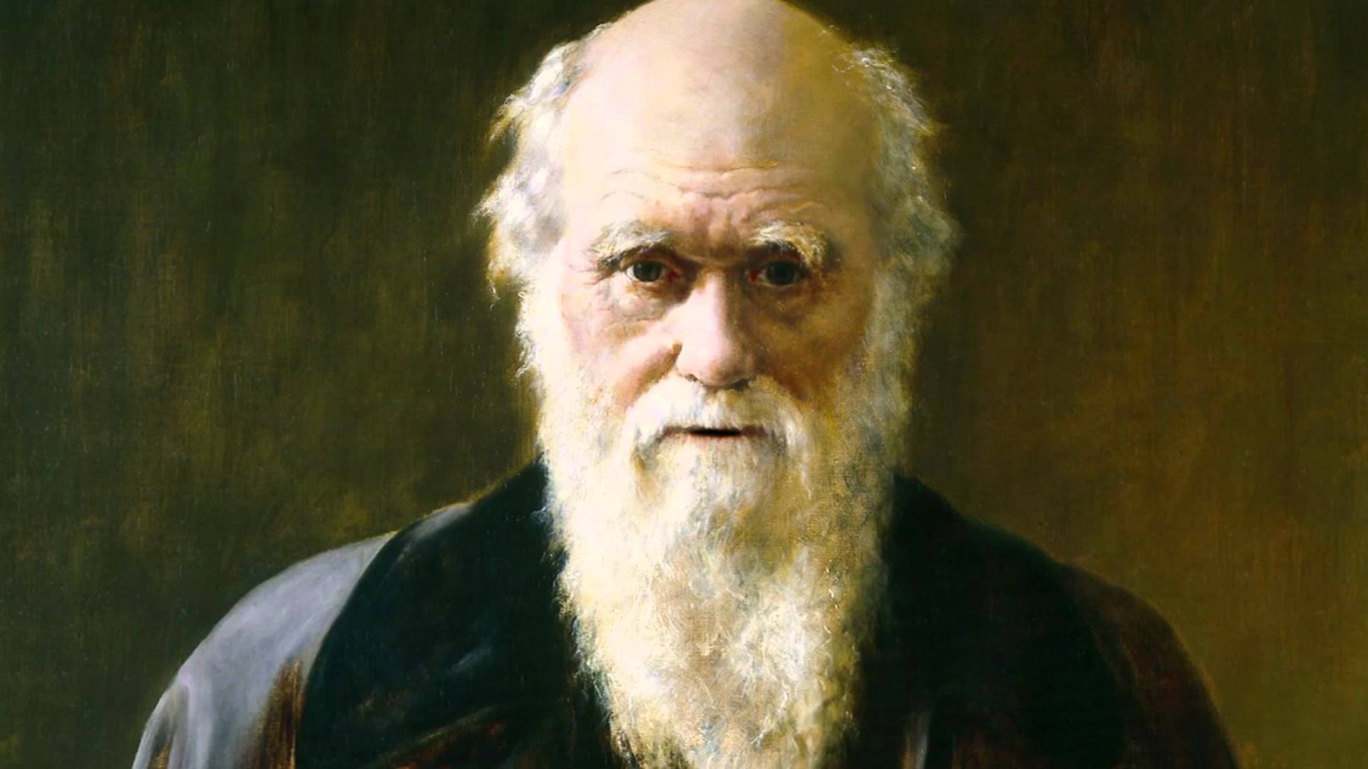 Реферат: Життя і наукова діяльність Чарльза Дарвіна